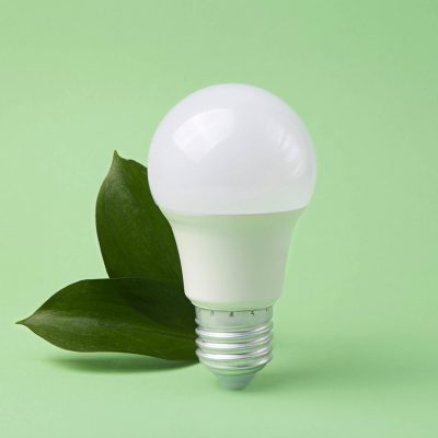 Led bulb with frsh green leafs,green energy concept.